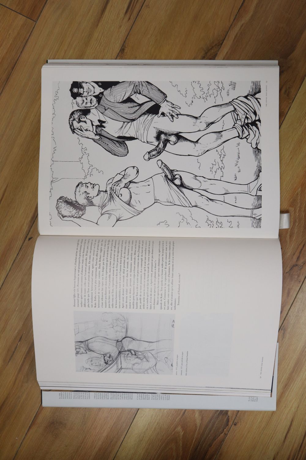 Diane Hanson, Tom of Finland illustrated book